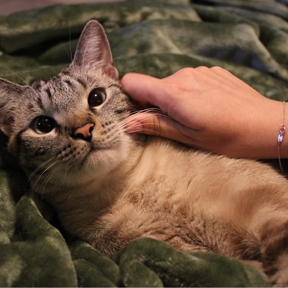 Meet your Posher, Andrea - Picture 2 of 3